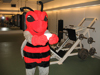 Sammy Bee